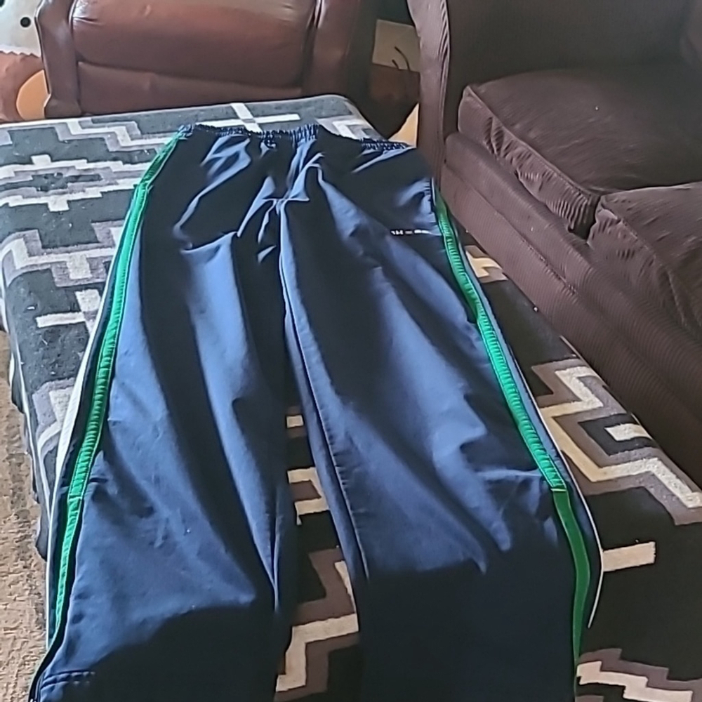 BHPG jogger pants sz Large. Blue with green and white racing stripe.(#908)